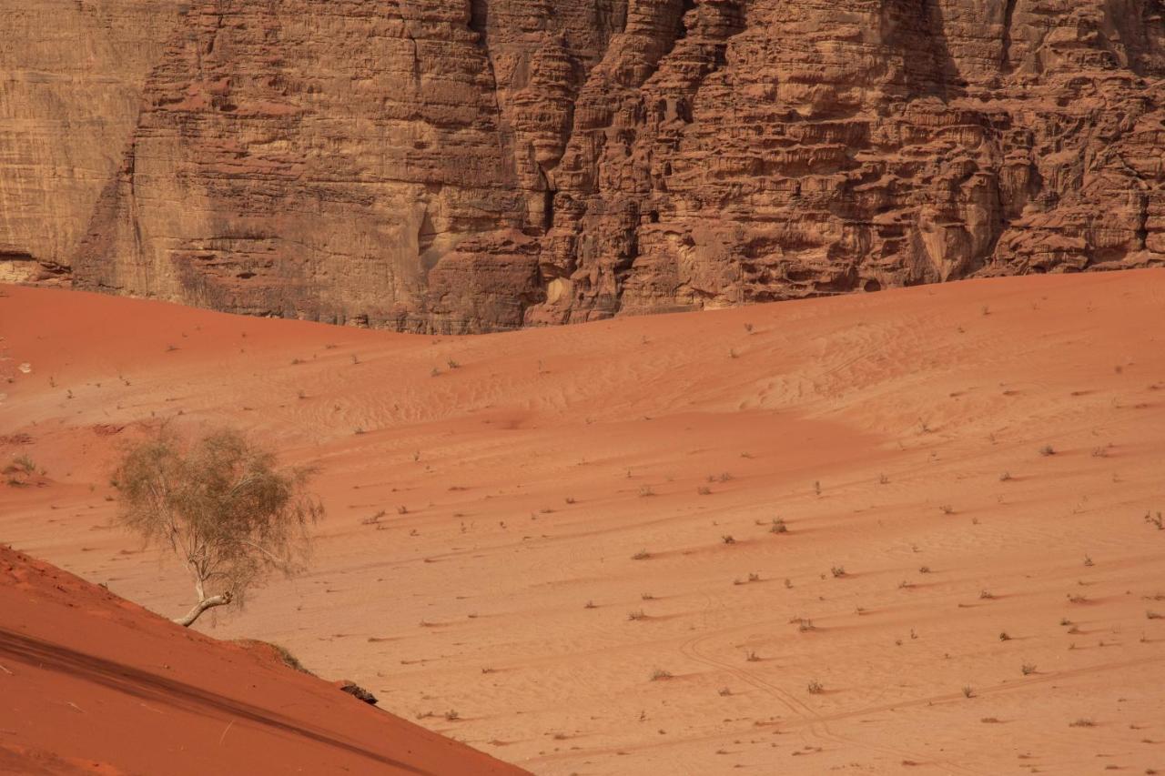 Wadi Rum Bright Moon 外观 照片